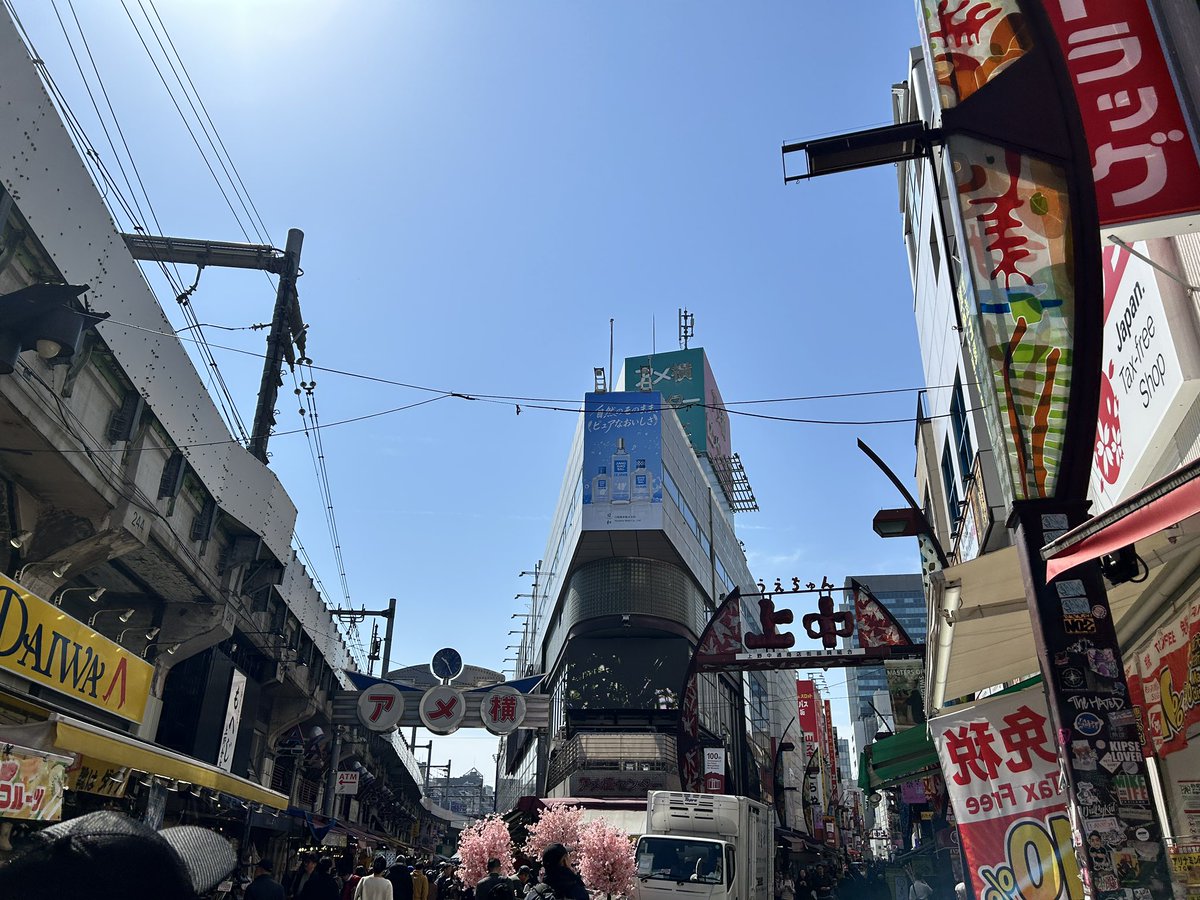今日は新幹線の時間まで自由時間あったので上野公園やアメ横をちょろっと覗いて来たよ
良いお花見日和でビール美味しそ〜と思ったけど車運転しなきゃだったので我慢だった😭
