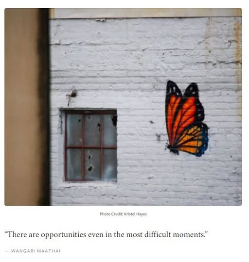 Jeff Remington tweet media