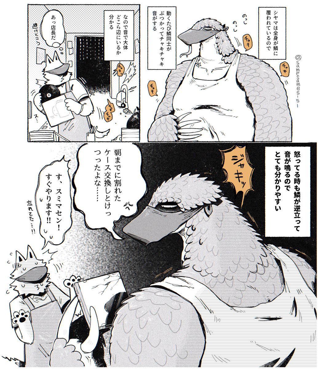 イルカ天国 tweet media