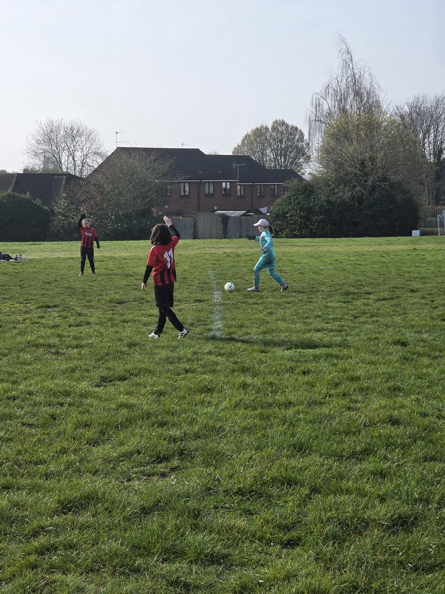 Hoops 🐺 tweet media