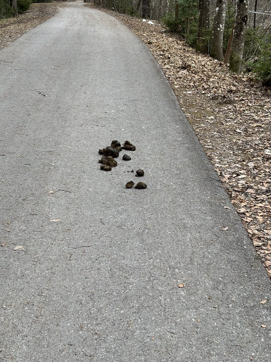 Hannes Schwarzer tweet media