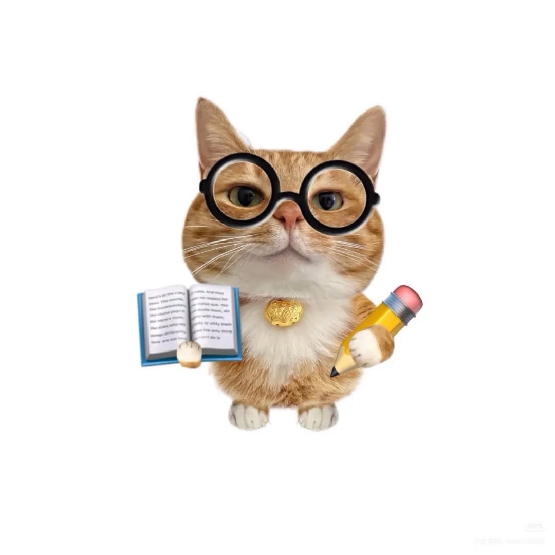 ## sarah ➷ tweet media