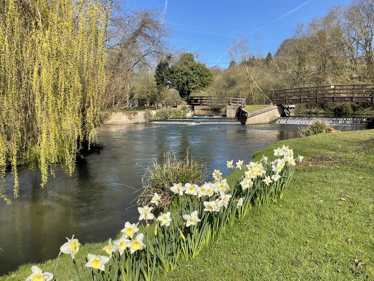 Feargal Sharkey tweet media