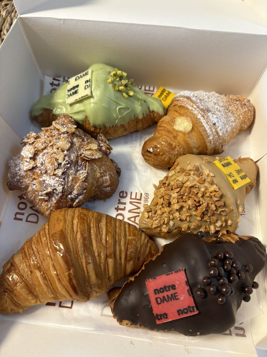 ⚽️🦇Jose 📖🎬 tweet media