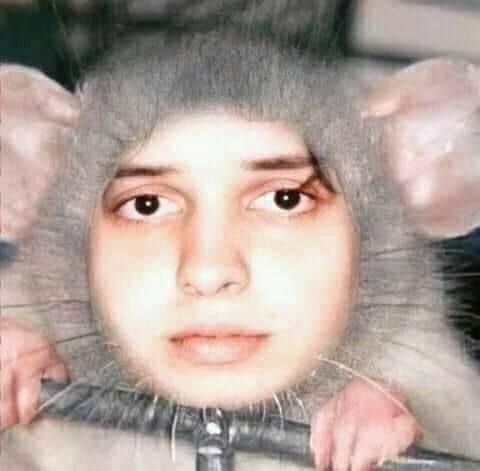 LA CHISPA 💥💯 tweet media