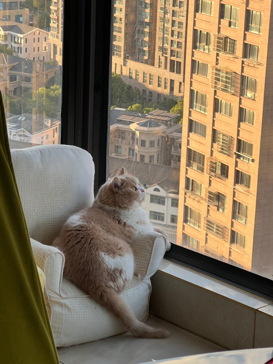 Violeta Antic tweet media