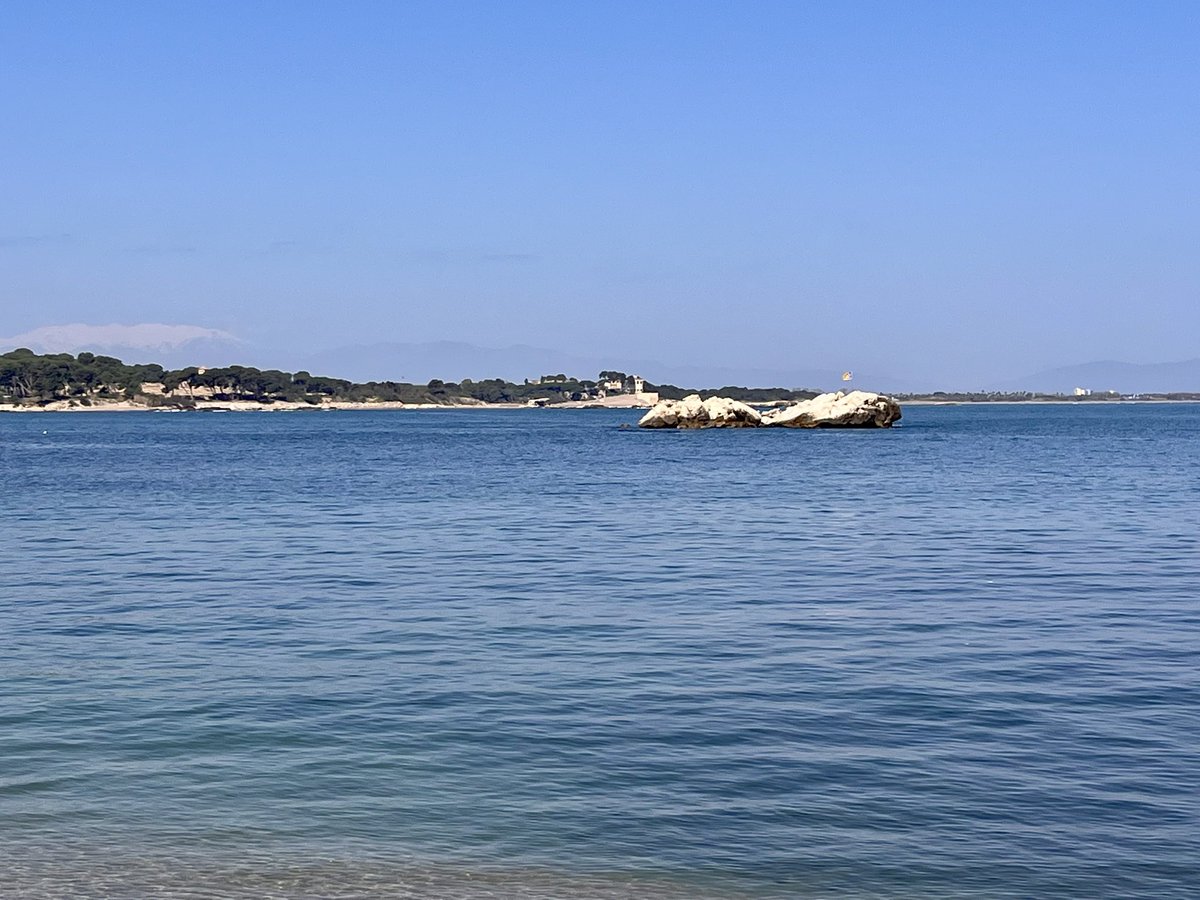 Llibreria Vitel·la tweet media