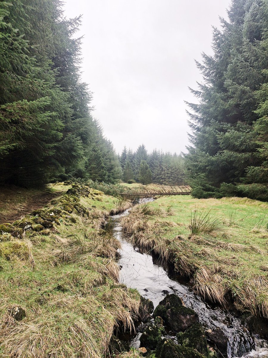 Suzie Selenophile tweet media