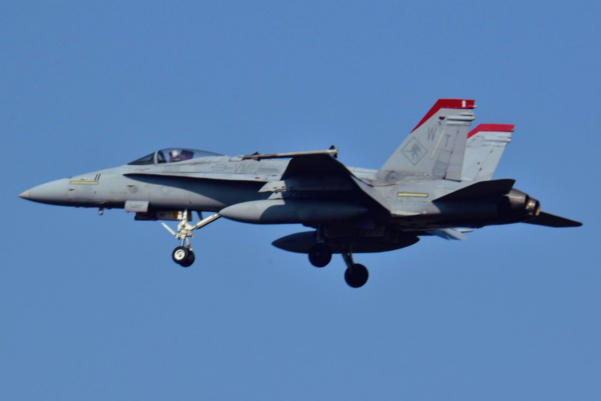 のもも tweet media