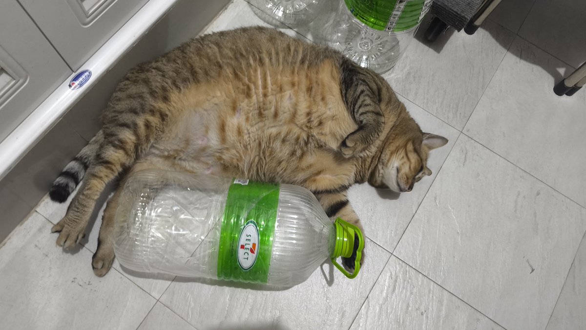 • m × 博君一肖 .｡.:* tweet media