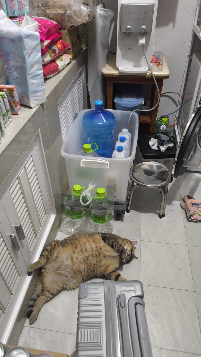 • m × 博君一肖 .｡.:* tweet media