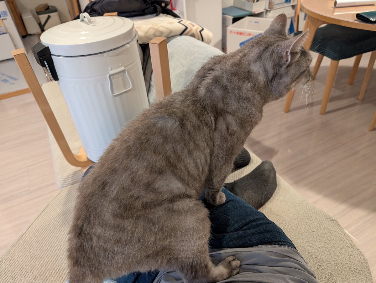 Piano🎹 🐈‍⬛@作曲する星の子🐾 tweet media