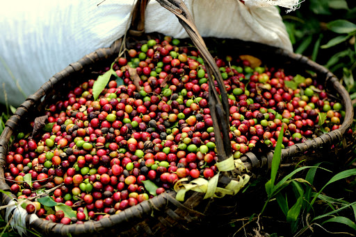 CTC Mayabeque tweet media