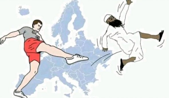 Moni 🇩🇪💙🕊️🌿🤘 tweet media