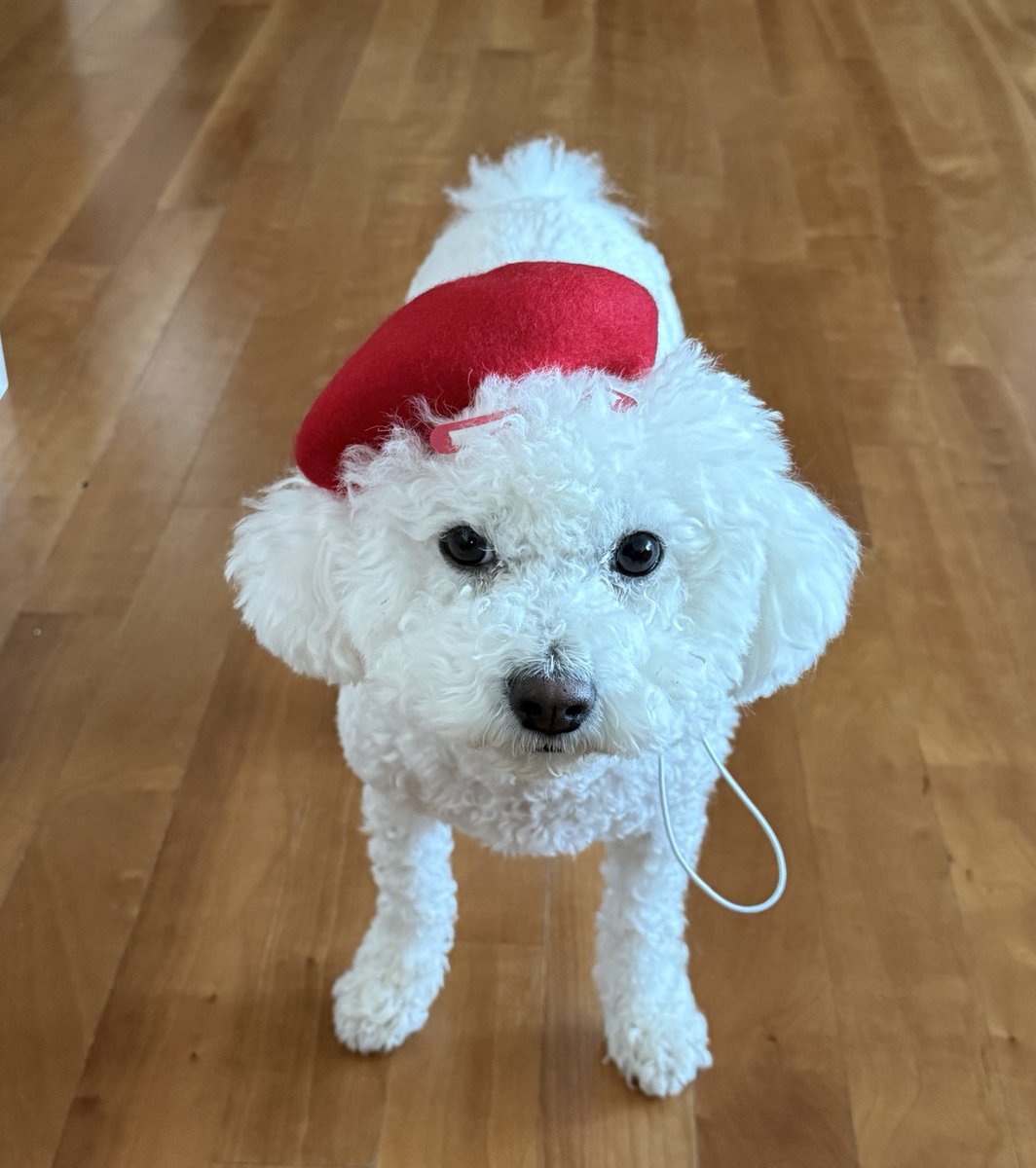 ████ tweet media