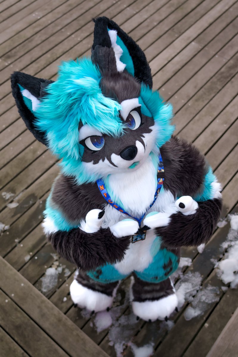 Naze Aurora tweet media