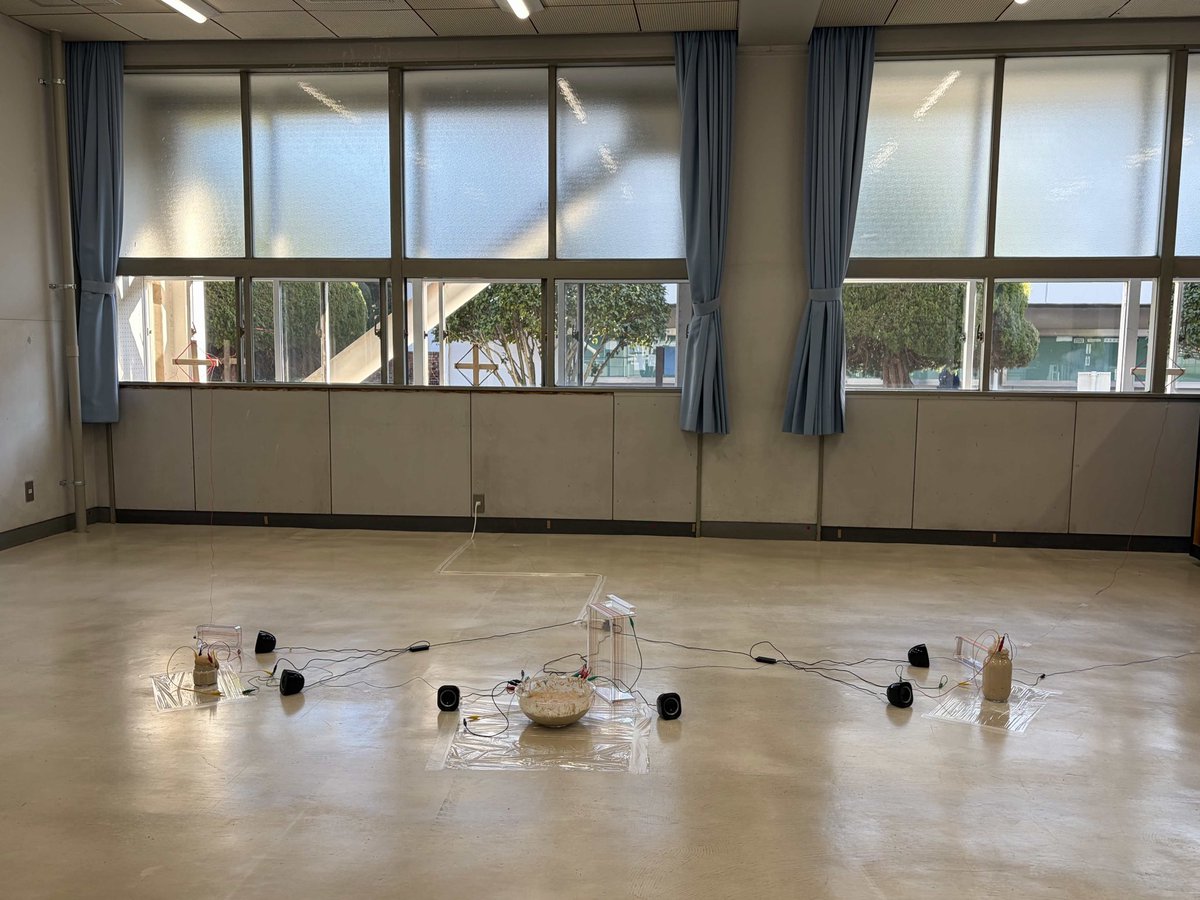 LatentMediaLab's tweet photo. 2026年2月22-23日で開催していたICSAFに3期生の本田光さんと吉田蒼さんが展示を行いました。

1-2枚目（本田光）
タイトル「指、生物。」
3-4枚目（吉田蒼）
タイトル「代謝」 https://t.co/xIl6ryXhCX