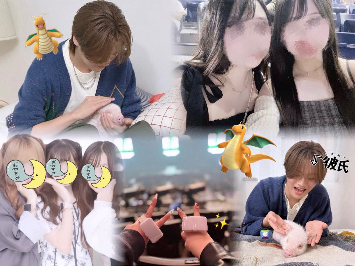 😼🌟 tweet media