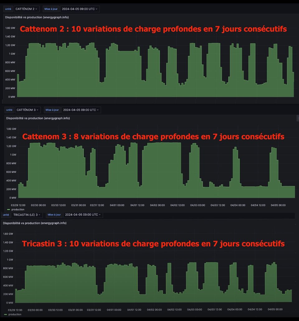Stefan R. tweet media