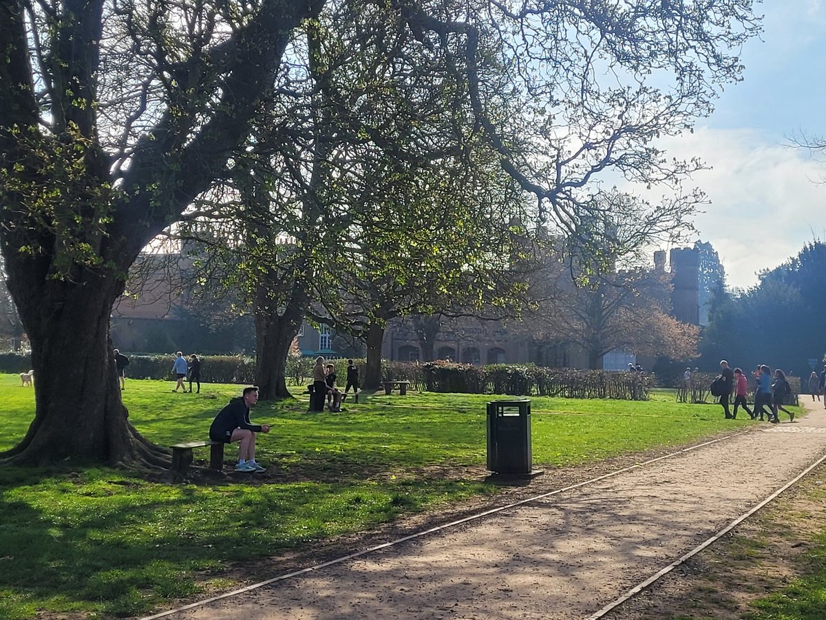 Steven Clarke tweet media