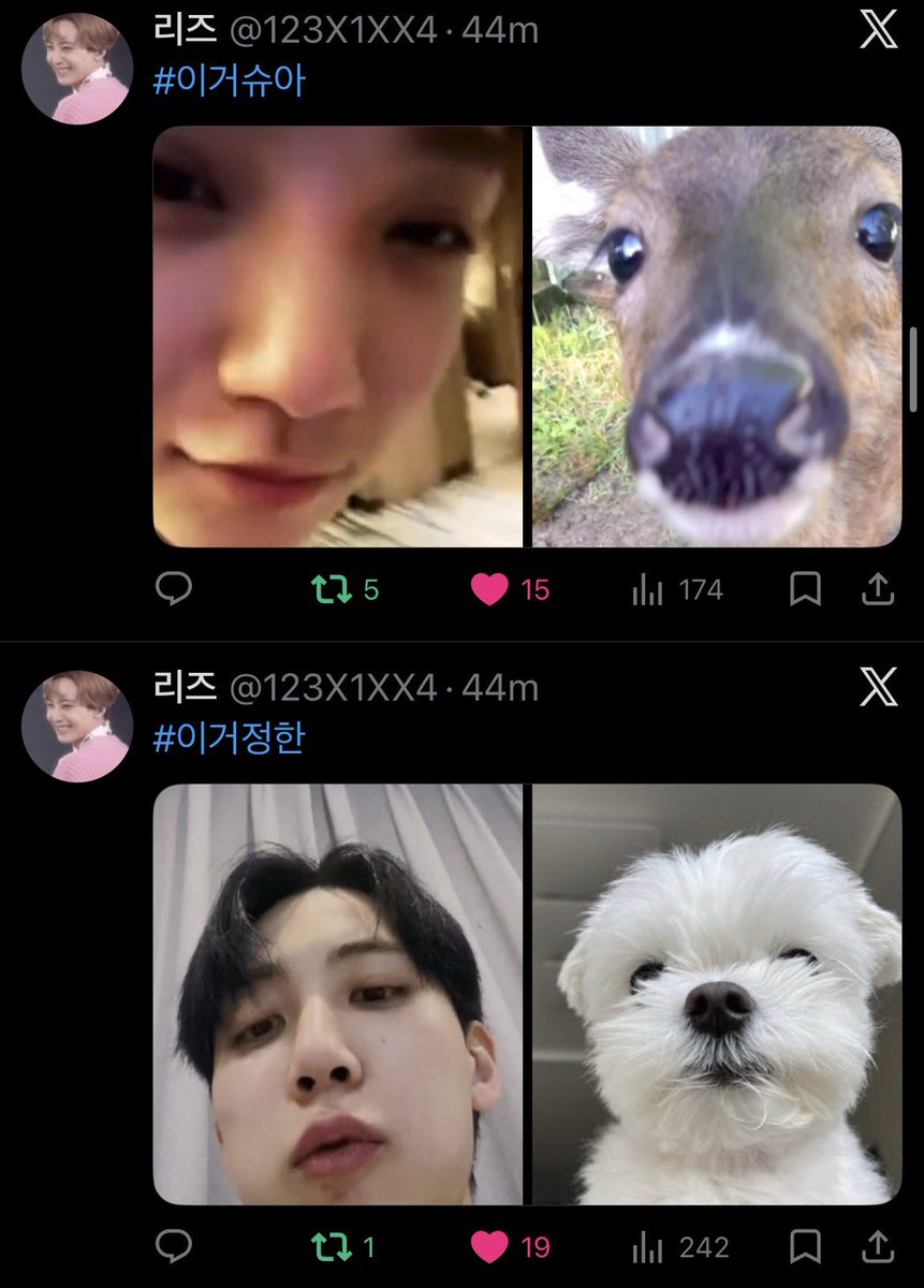 YES I LUV THEM 🥹🤍