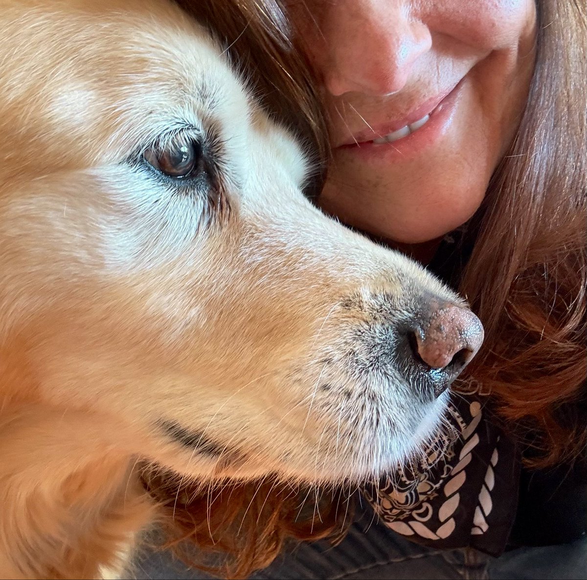 d Mandeville tweet media