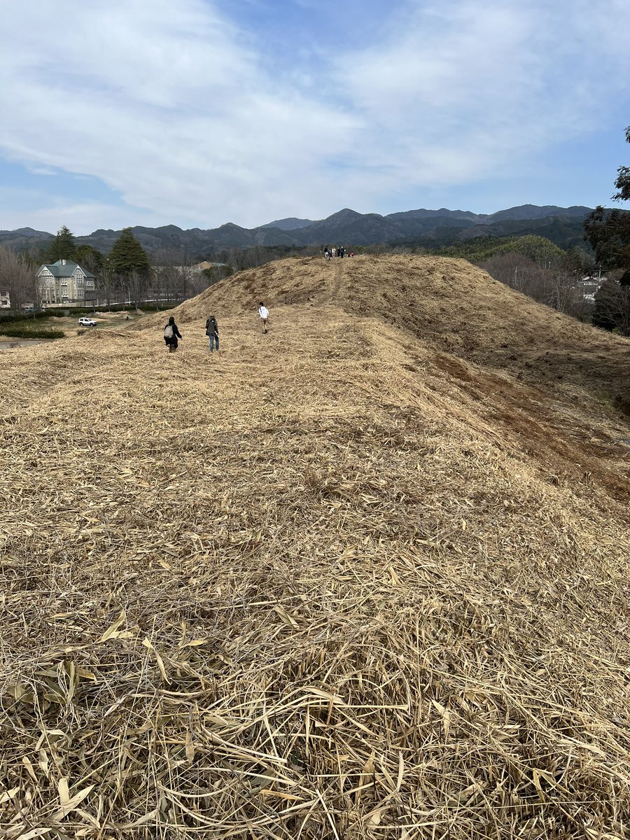 Sou_curator tweet media