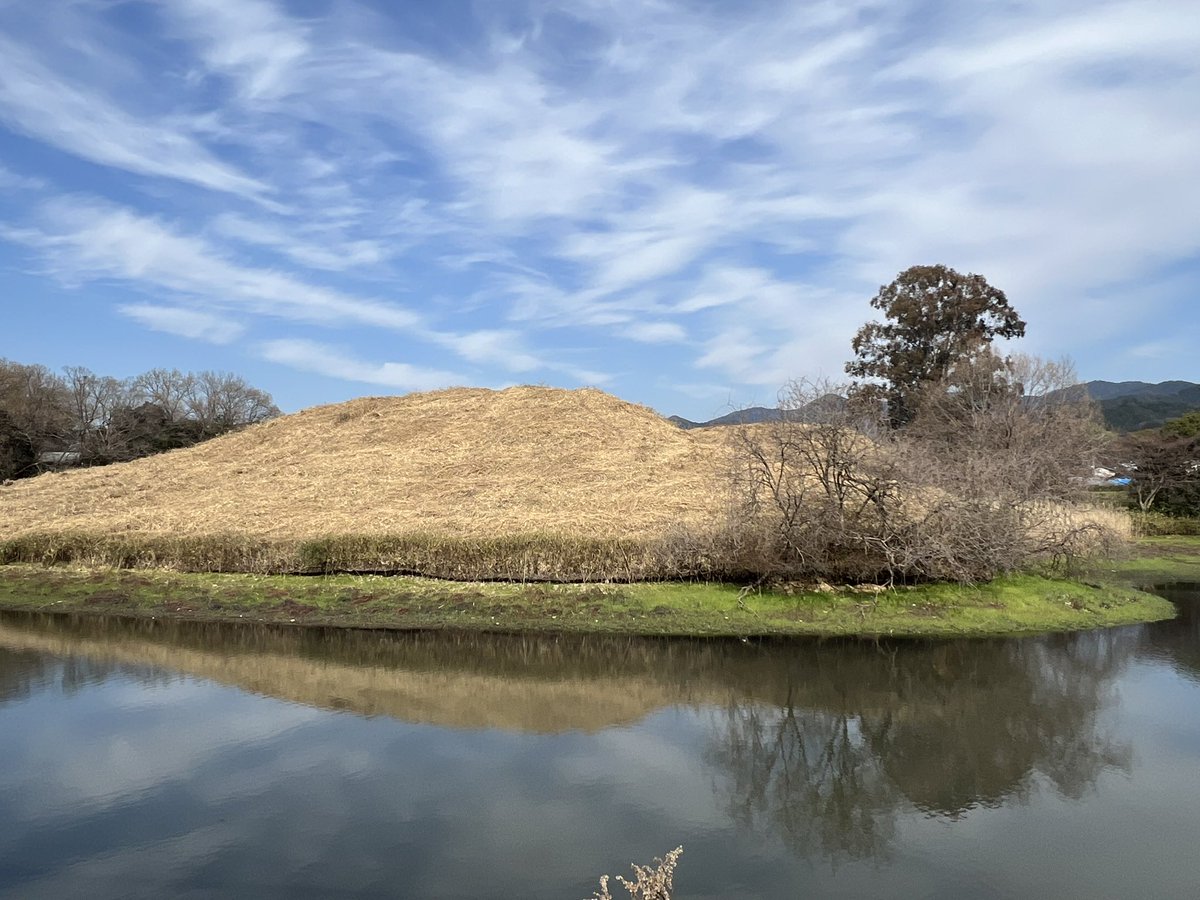 Sou_curator tweet media