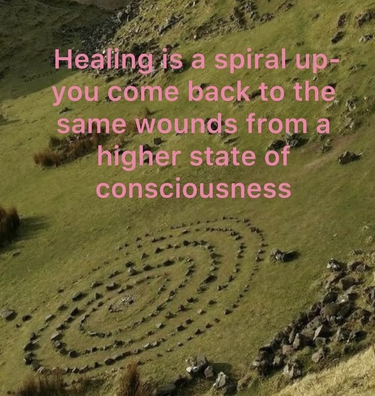 Mindset insider 🌟 tweet media