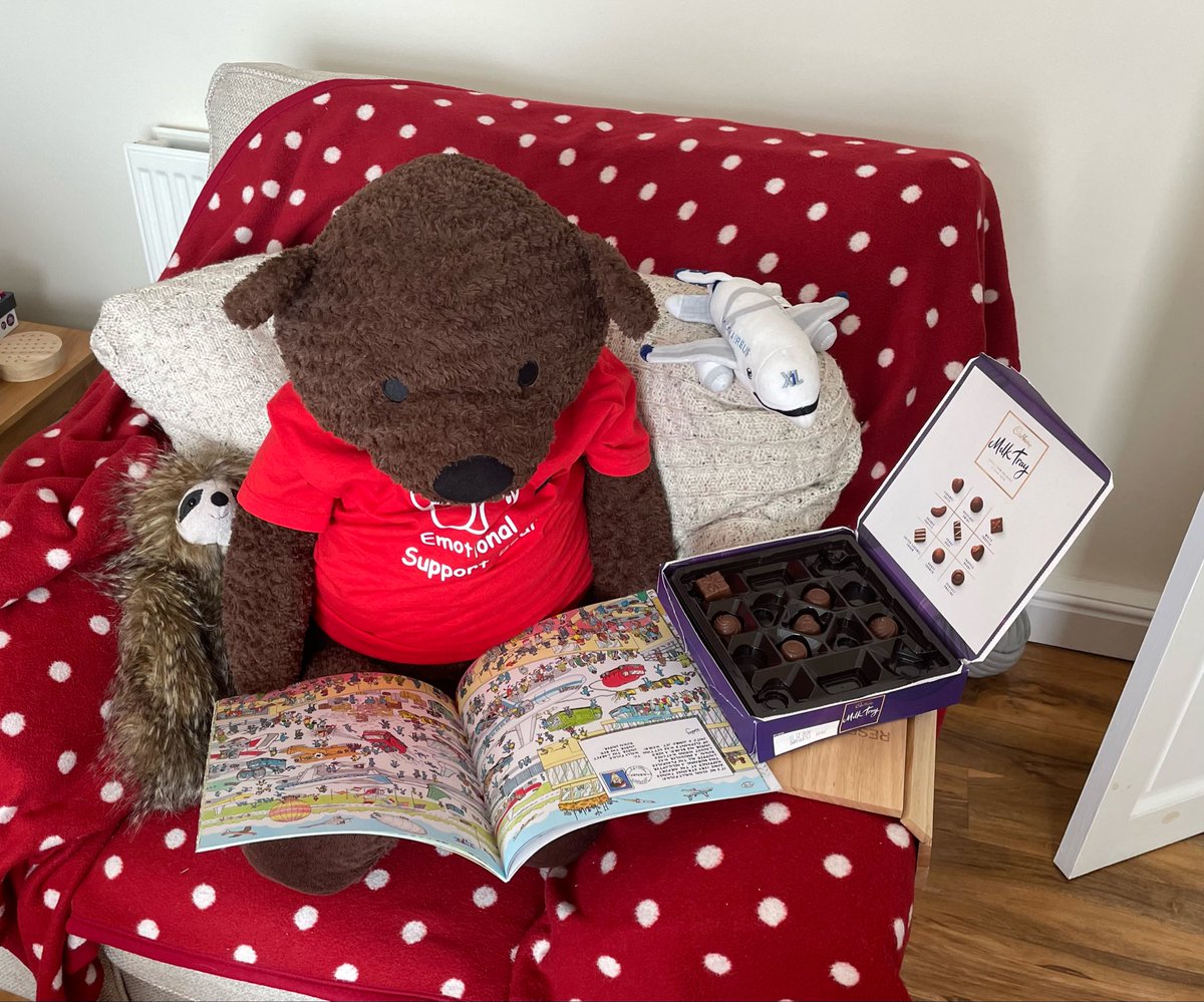 Bertie Bear… HAS a sofa (hopefurly) just fur him! tweet media