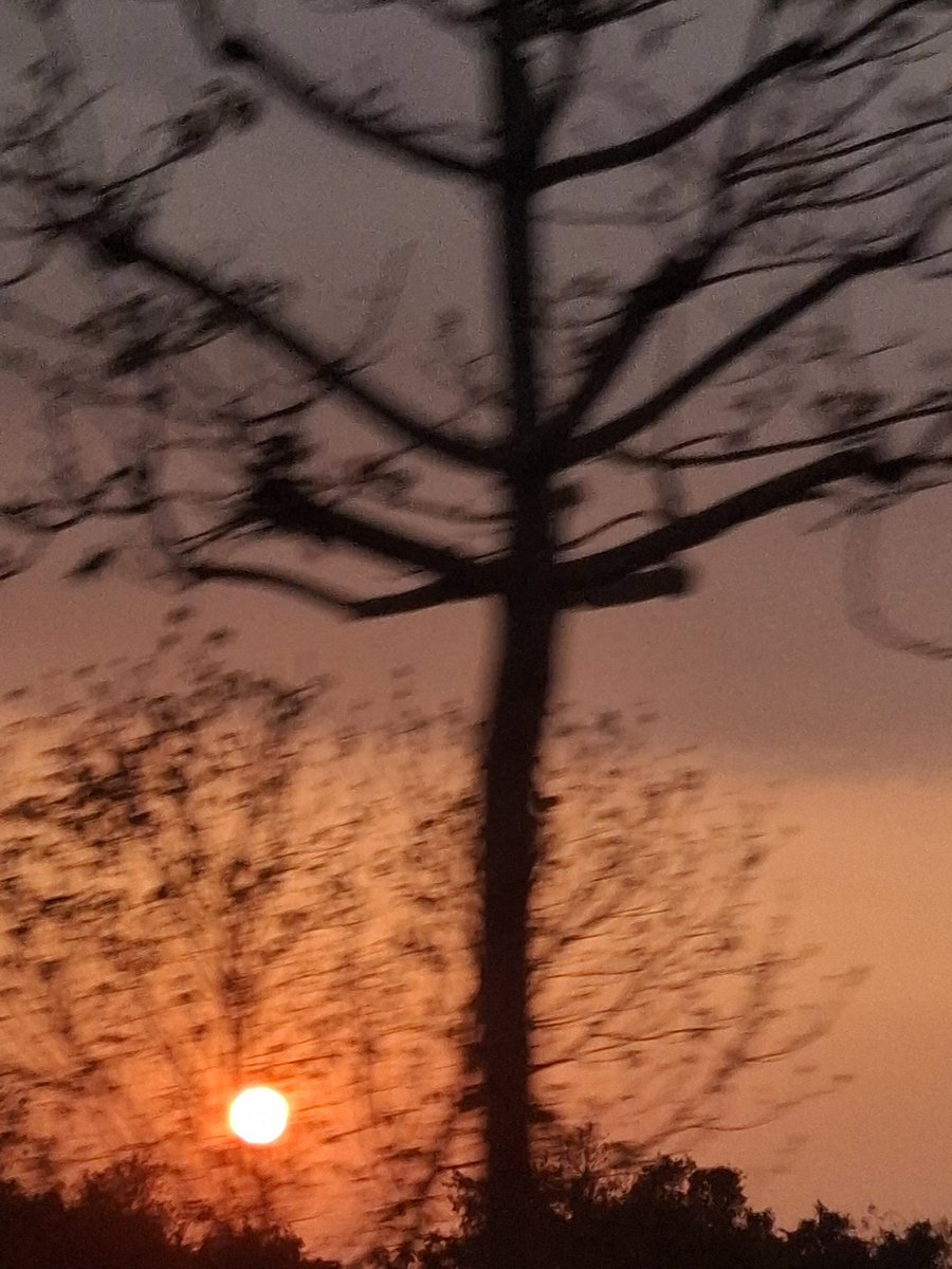 卡仕达面包 tweet media