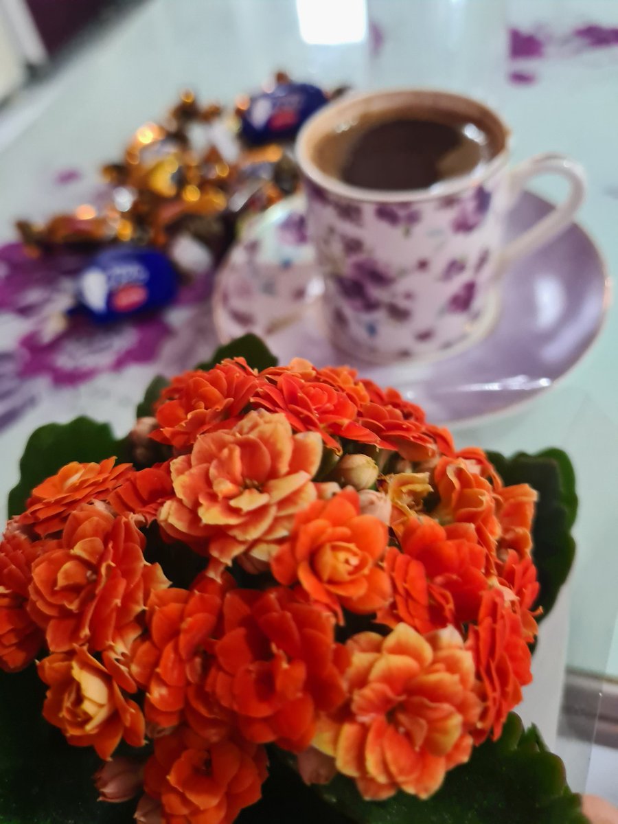 Güllll beee tweet media