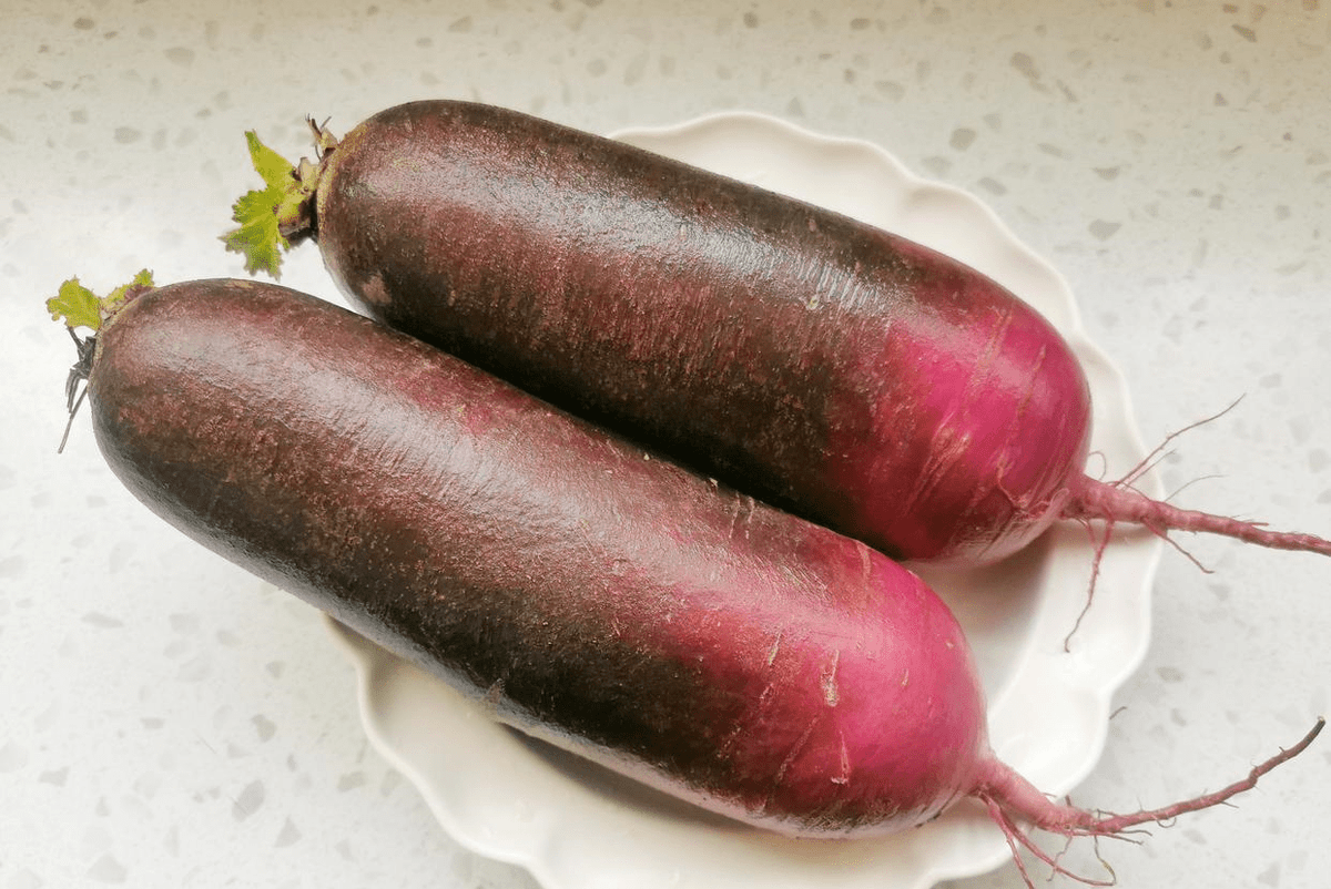 megan schmitz tweet media