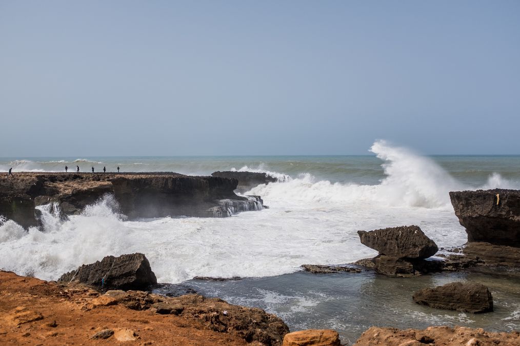 Gregory Graham tweet media