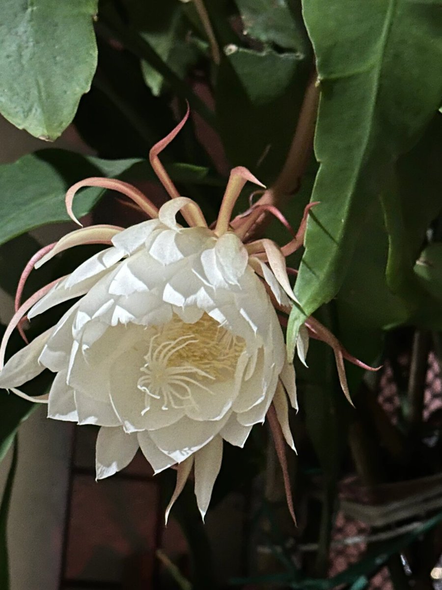 Balram Enterprises tweet media