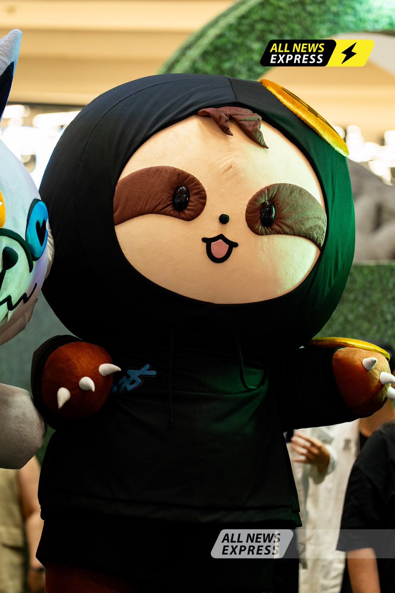 ALLNewsEXPRESS tweet media