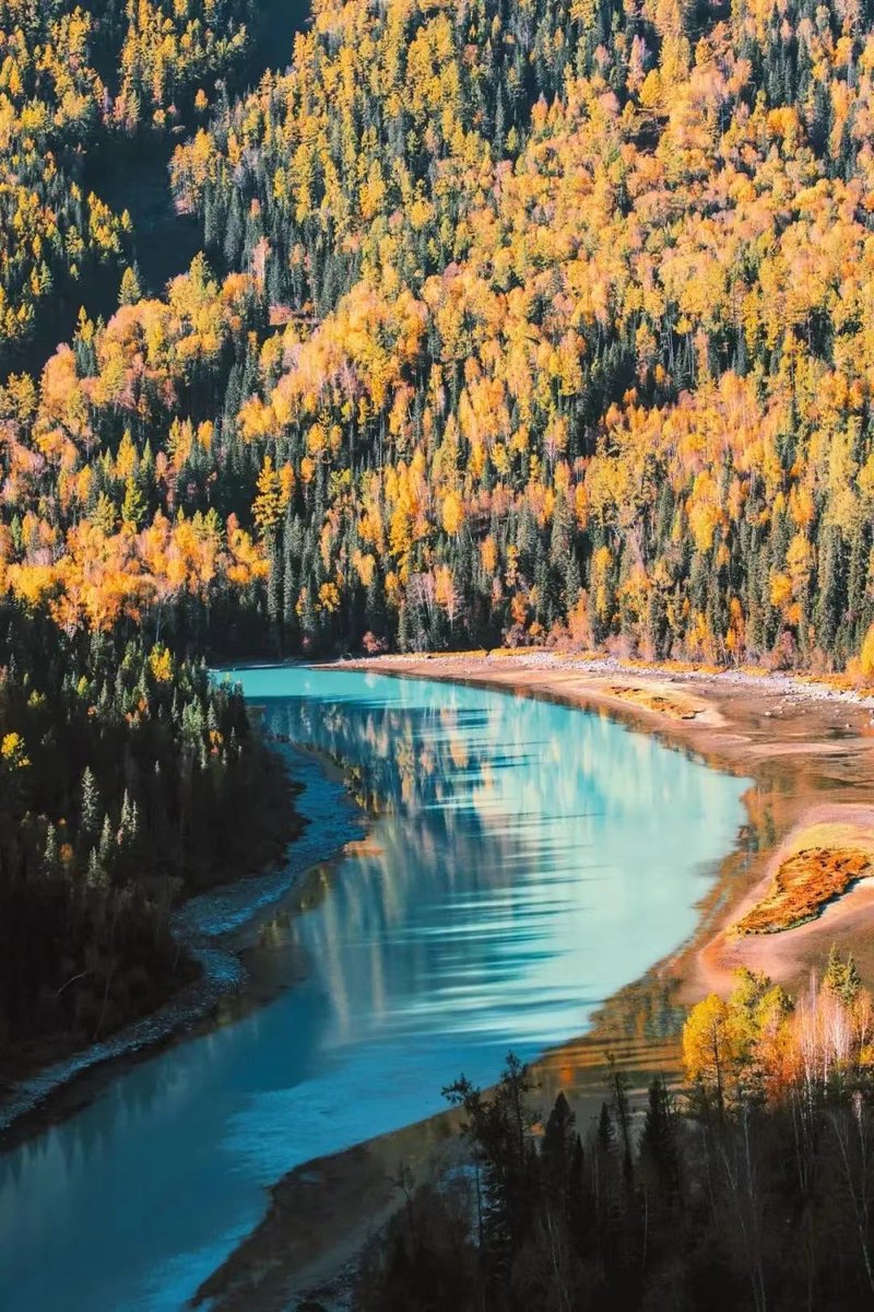 Cheyenne Gribbins tweet media