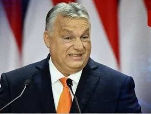 Оливия tweet media