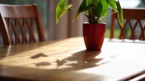 Jeremy Warren tweet media