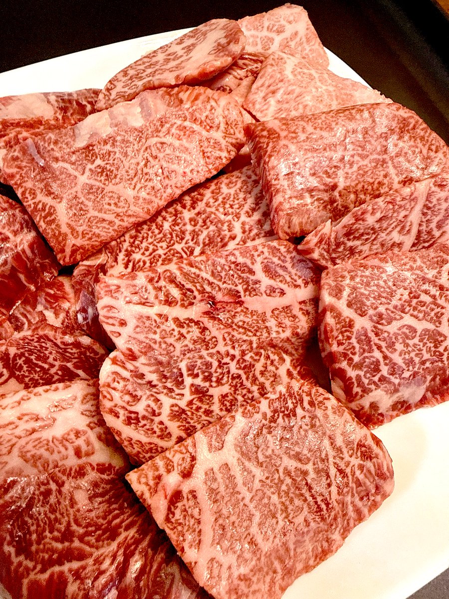 지표견 tweet media