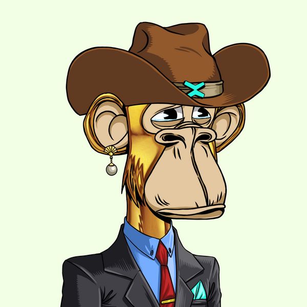 BAXC DA0 & Nerds⚡️🐵 tweet media