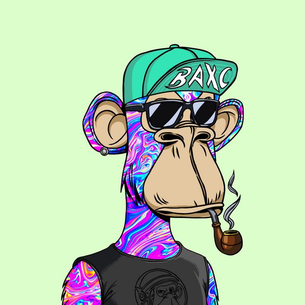 BAXC DA0 & Nerds⚡️🐵 tweet media