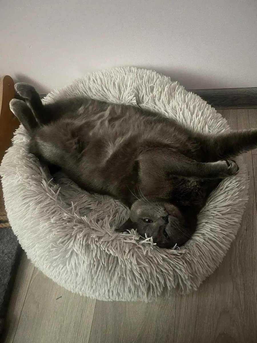 Петро Бінас tweet media