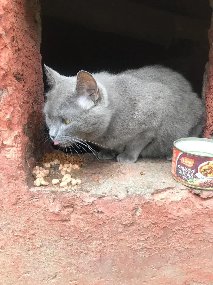 Петро Бінас tweet media