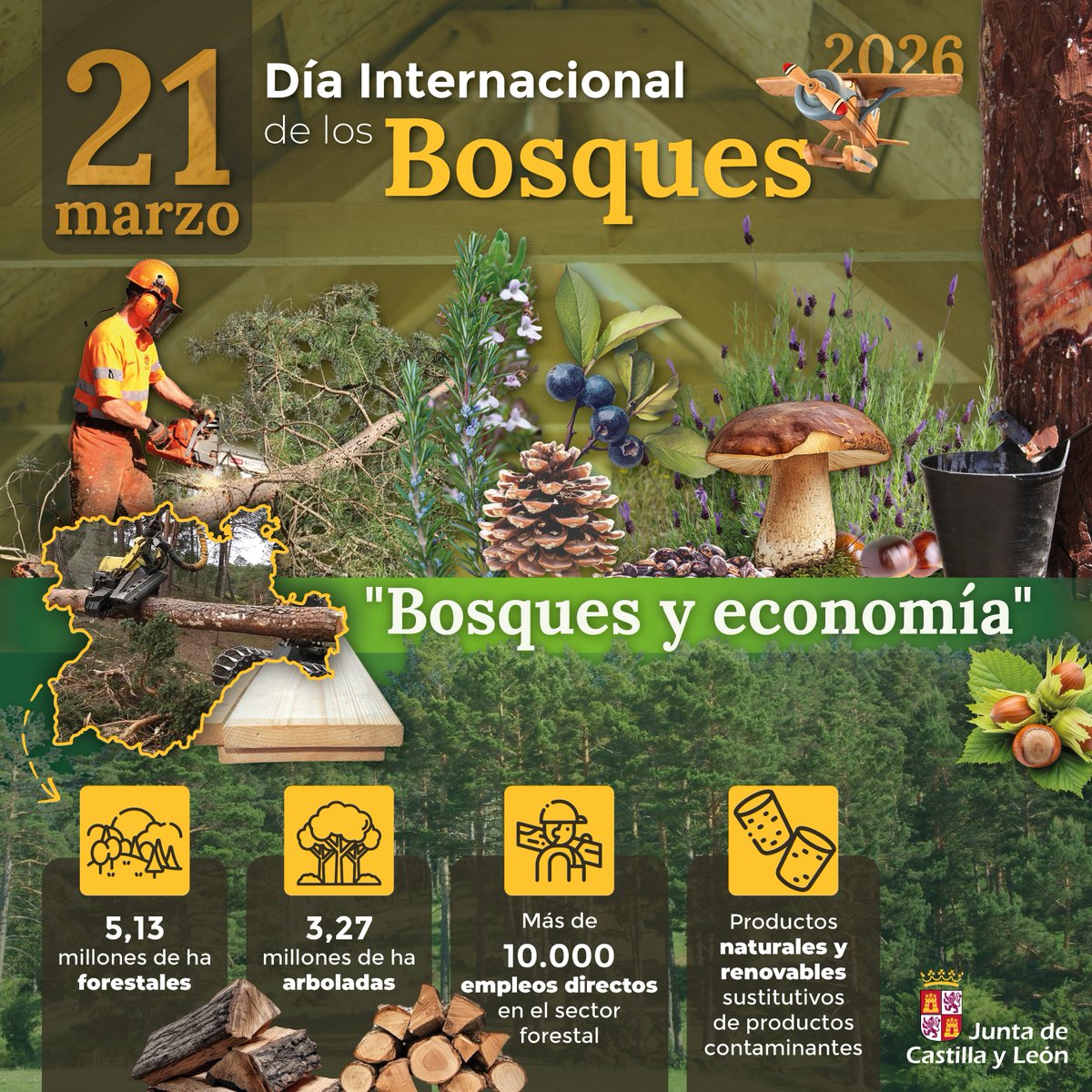 Naturaleza Castilla y León tweet media