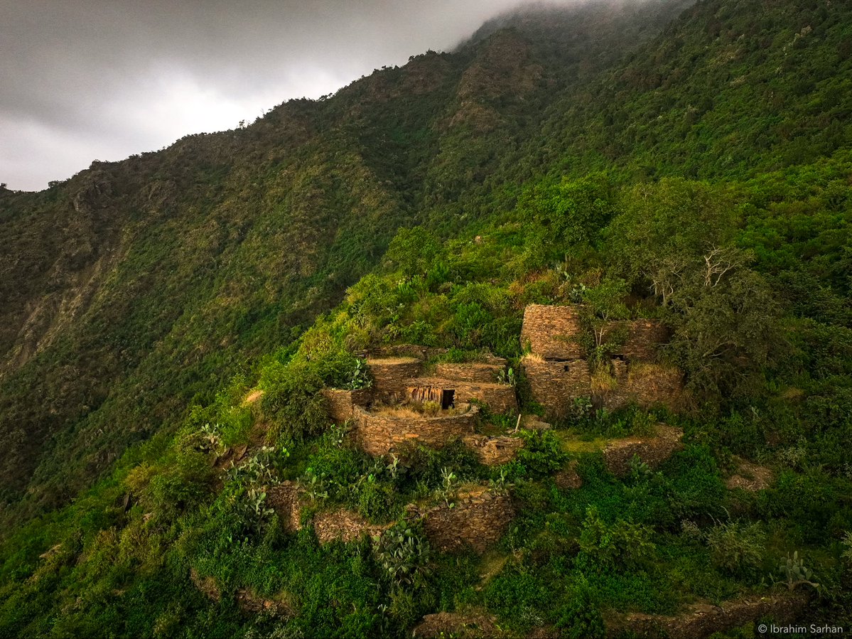 إبراهيم سرحان | Ibrahim Sarhan tweet media