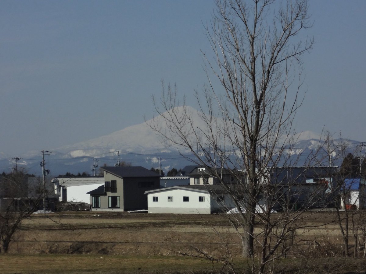 丸和🦕 tweet media