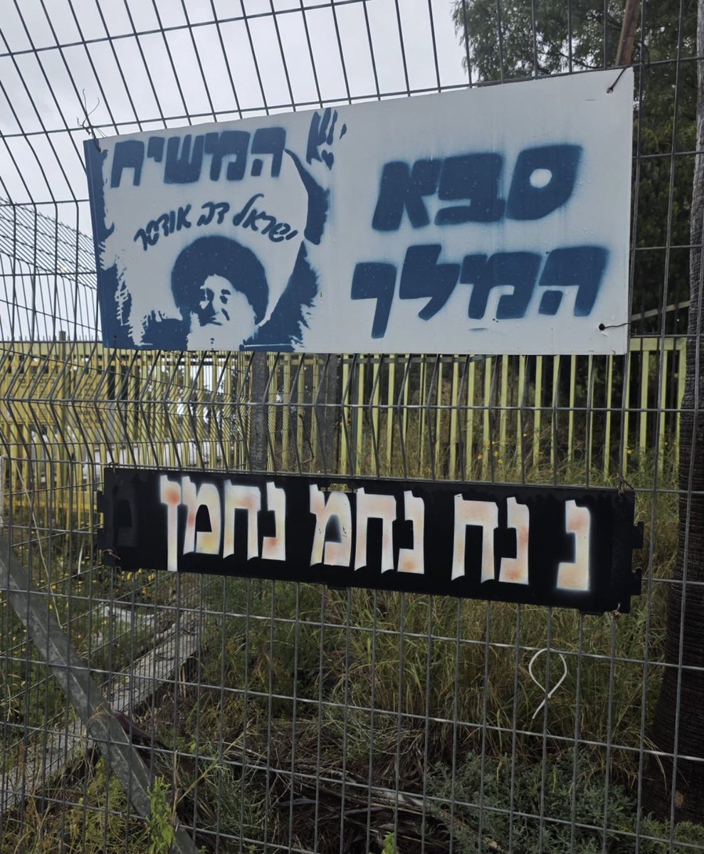 Naor Narkis נאור נרקיס tweet media