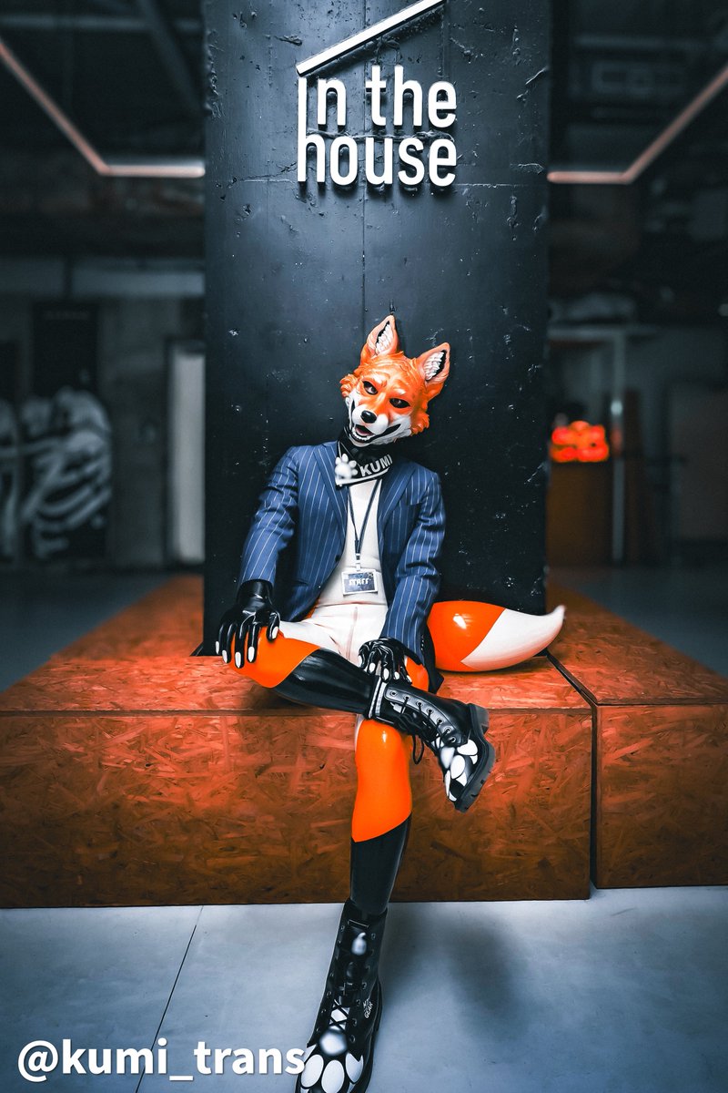 Lumi🦊 Latex Fox tweet media