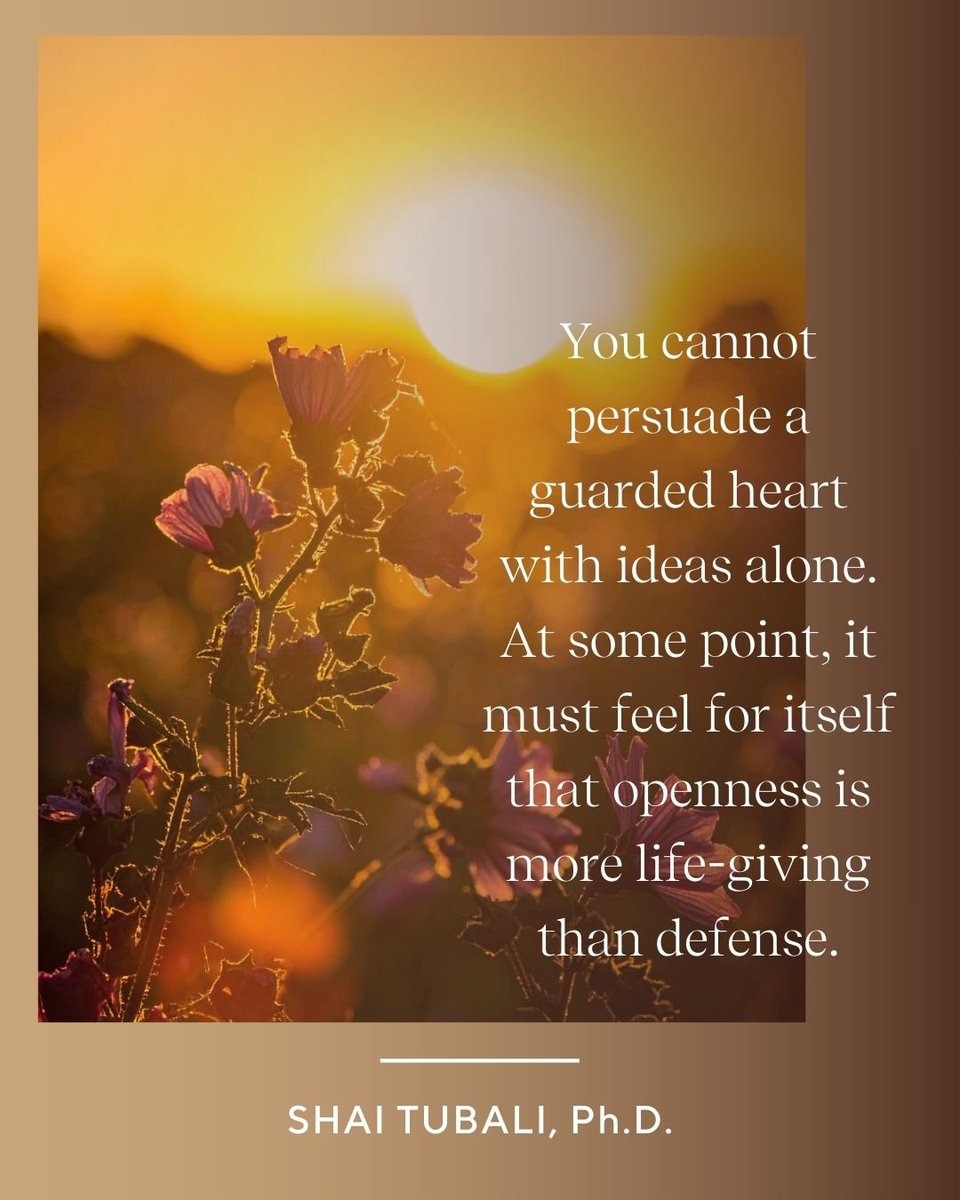 STubali's tweet photo. "You cannot persuade a guarded heart with ideas alone.

At some point, it must feel for itself that openness is more life-giving than defense."

~ Shai Tubali https://t.co/nfPwPhUzxX